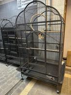 Papegaaienkooi Hyacint XXL, Ophalen, Nieuw, Metaal, Vogelkooi