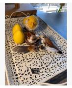 Metalen Brocante Schaal Mand met 7 woondeco Kerst, Antiek en Kunst, Curiosa en Brocante, Ophalen of Verzenden