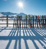 Snowblades, 94cm, 99cm, 125cm en 135cm met Tyrolia Binding, Sport en Fitness, Overige merken, 100 tot 140 cm, Nieuw, Ophalen of Verzenden