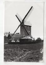 Groede Molen, Verzamelen, Ansichtkaarten | Nederland, Verzenden, 1940 tot 1960, Ongelopen, Zeeland