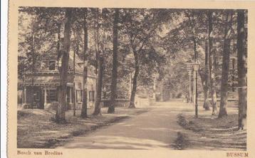 bussum 1919  tekst/zegel enz bosch van bredius beschikbaar voor biedingen