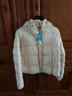 Nieuwe winterjack maat M, Kleding | Dames, Ophalen, Nieuw, Maat 38/40 (M), Wit