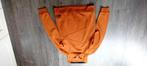 Sweater, 170/176, Gebruikt, Chapter Young, Trui of Vest, Ophalen of Verzenden