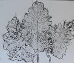Inkt tekening 72x61cm, Ophalen of Verzenden