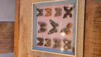 Mooie schilderij met echte vlinders, Huis en Inrichting, Woonaccessoires | Lijsten, Ophalen of Verzenden, Gebruikt, Hout, Minder dan 50 cm