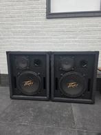 peavey geluidsbox, Audio, Tv en Foto, Luidsprekers, Gebruikt, 120 watt of meer, Front, Rear of Stereo speakers, Ophalen
