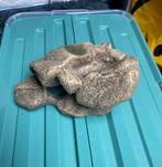 Decor steen Aquarium Ornament, Dieren en Toebehoren, Ophalen of Verzenden, Zo goed als nieuw