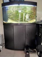 Aquarium, Dieren en Toebehoren, Vissen | Aquaria en Toebehoren, Ophalen, Zo goed als nieuw, Leeg aquarium