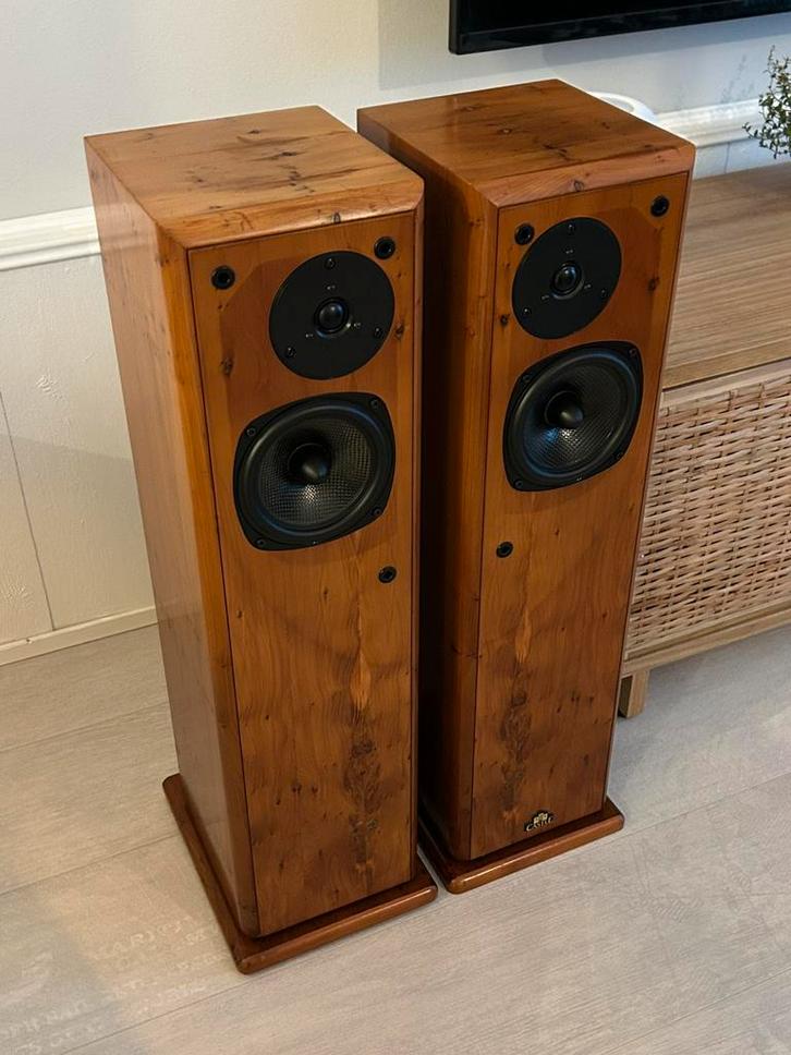 Castle Pembroke in mintconditie, Audio, Tv en Foto, Luidsprekers, Zo goed als nieuw, Front, Rear of Stereo speakers, 60 tot 120 watt