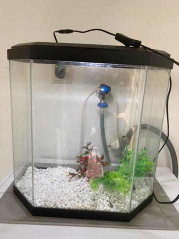 Aquarium beschikbaar voor biedingen