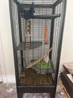 Ratten kooi, Dieren en Toebehoren, Kooi, 60 tot 90 cm, Ophalen of Verzenden, Muis