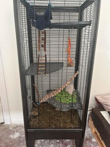 Ratten kooi beschikbaar voor biedingen