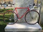 Pinarello Treviso racefiets, Gebruikt, 26 inch, Staal, 15 tot 20 versnellingen