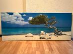 Aruba Divi Divi Tree Panorama Canvas 140x56cm, 50 tot 75 cm, 125 cm of meer, Ophalen of Verzenden, Zo goed als nieuw