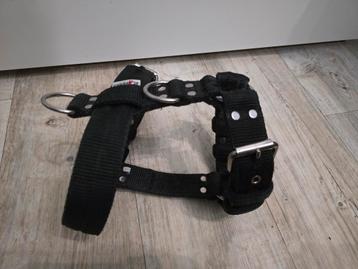Super stevig bully bulldog tuig El Perro maat S (60-72cm) beschikbaar voor biedingen