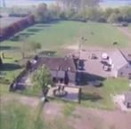 Pensionstalling en weidegang Wijchen, kleinschalig en rustig, Weidegang, 2 of 3 paarden of pony's