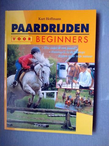 Paardrijden voor beginners beschikbaar voor biedingen