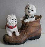 Hondjes, West Highland White Terriërs zittend  in/op schoen, Ophalen of Verzenden, Zo goed als nieuw, Dier