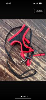 2x Tuigje voor katten /kleine hond zgan, Ophalen of Verzenden, Zo goed als nieuw