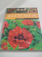 Bloemen in Acrylverf  Carola Massey laat zien hoe zij met ac, Verzenden, Zo goed als nieuw, Waterverf