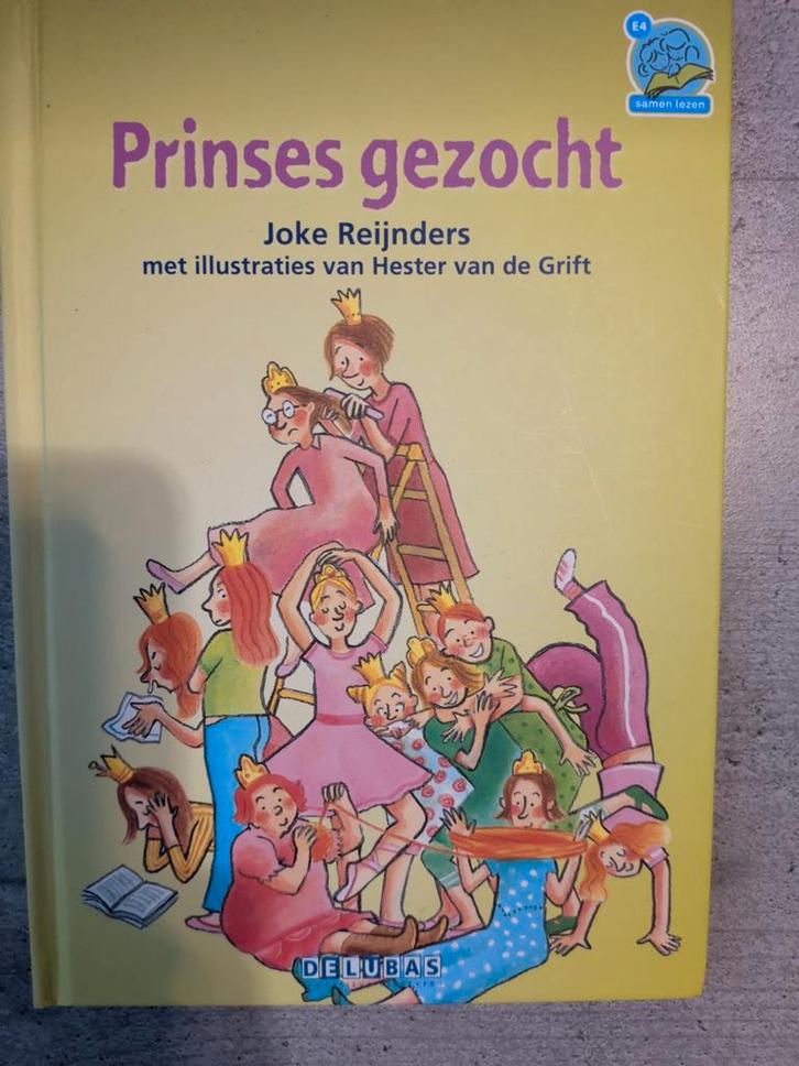 Boek princes gezocht, Boeken, Kinderboeken | Jeugd | onder 10 jaar, Zo goed als nieuw, Ophalen of Verzenden
