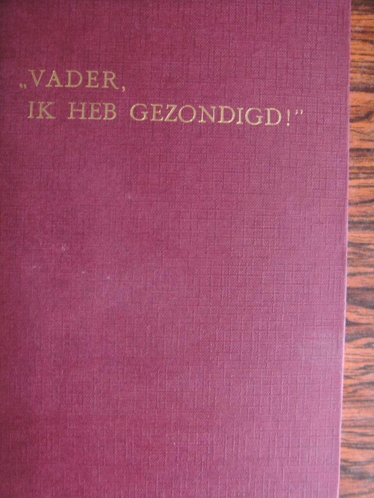 Vader, Ik heb gezondigd! Ds. J.J. Poort., Boeken, Ophalen of Verzenden, Zo goed als nieuw, Ds. J.J. Poort, Christendom | Protestants