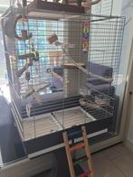 Bijna nieuwe kooi incl. accessoires, Ophalen of Verzenden, Zo goed als nieuw, Metaal, Vogelkooi
