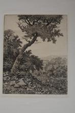 GERRIT DE JONG ETS Zeer Fraaie GESIGNEERD Landschap GR1, Antiek en Kunst, Kunst | Etsen en Gravures, Verzenden