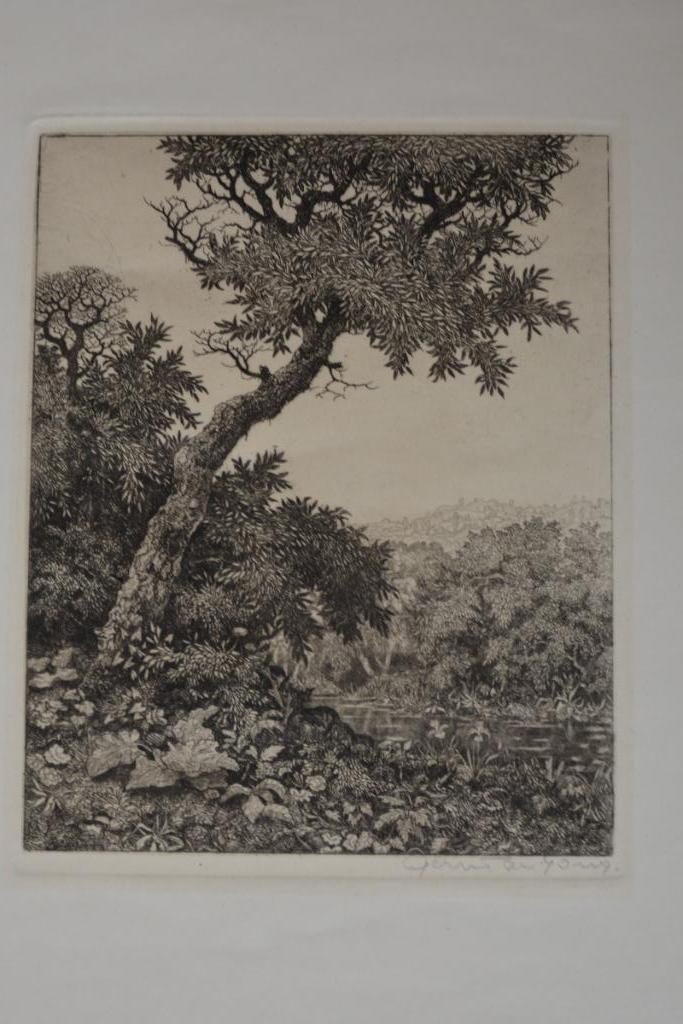 GERRIT DE JONG ETS Zeer Fraaie GESIGNEERD Landschap GR1, Antiek en Kunst, Kunst | Etsen en Gravures, Verzenden