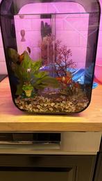 Biorb 15L cube Aquarium incl toebehoren exclusief vissen!, Dieren en Toebehoren, Vissen | Aquaria en Toebehoren, Ophalen, Zo goed als nieuw