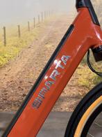 Sparta D-Rule Energy 2025 met BOSCH middenmotor en riem! TOP, Sparta, Nieuw, 50 km per accu of meer, Sparta