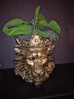 Leuke gouden leeuwenkop plantenpot, Ophalen, Zo goed als nieuw, Kunststof, Retro