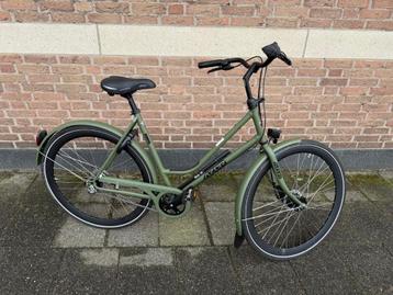 Azor staal lug veluwe pack  beschikbaar voor biedingen