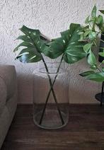 Grote glazen vaas, Ophalen, Overige kleuren, Minder dan 50 cm, Glas