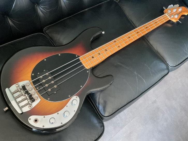 Verzamelbasgitaren pensioen, Muziek en Instrumenten, Snaarinstrumenten | Gitaren | Bas, Gebruikt, Elektrisch, Ophalen