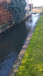 goudwindes gezocht voor natuurvijver