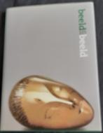 Beeld in beeld kunstboek, Ophalen, Zo goed als nieuw, Beeldhouwkunst