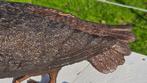 DUIF / bronzen beeld, Dierenbeeld, Nieuw, Info@huisentuindecoratiemarie.nl, Huis en tuin decoratie marie