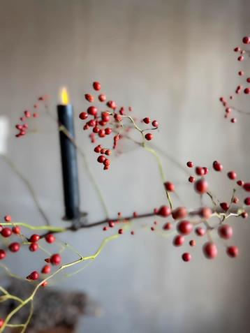 Vintage kaarsenknijpertjes kerst beschikbaar voor biedingen