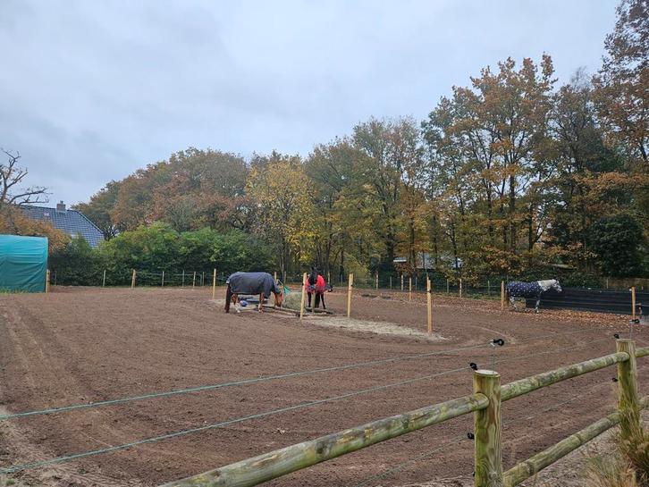 24/7 buiten paddock met schuilgeleigenheid, Dieren en Toebehoren, Stalling en Weidegang