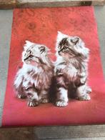 Poster : kitten / Poezen / Katten - Vintage / Retro, Rechthoekig Liggend, Ophalen of Verzenden, Zo goed als nieuw