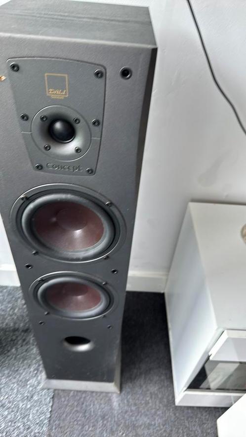 Dali concept 6, Audio, Tv en Foto, Luidsprekers, Gebruikt, Front, Rear of Stereo speakers, 120 watt of meer, Overige merken, Ophalen