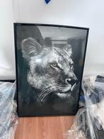Mooie Leeuw Poster, Ophalen, Zo goed als nieuw, Foto of Poster, 50 tot 75 cm