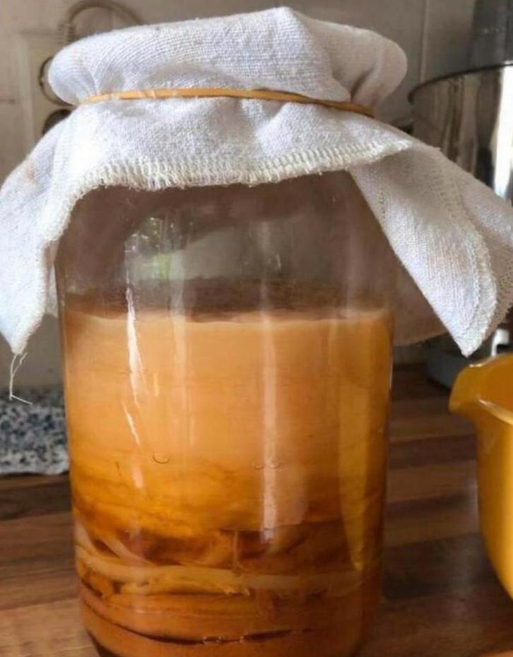 KOMBUCHA, Diversen, Levensmiddelen, Ophalen