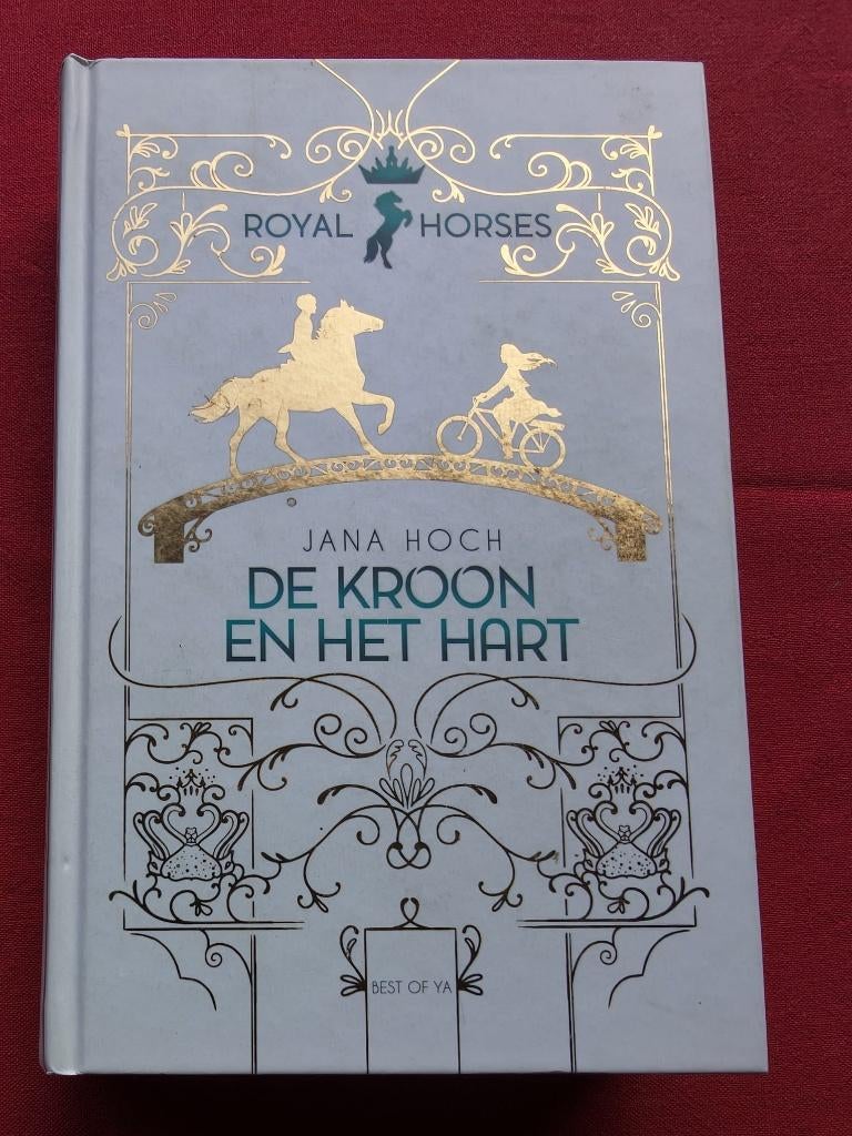 YA fantasy boeken, Boeken, Fantasy, Ophalen of Verzenden, Zo goed als nieuw