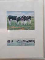 Aquarellen Wiebe van der Zee vier stuks koeien, Ophalen