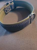 Mooie  halsband  hond, Ophalen of Verzenden, Zo goed als nieuw