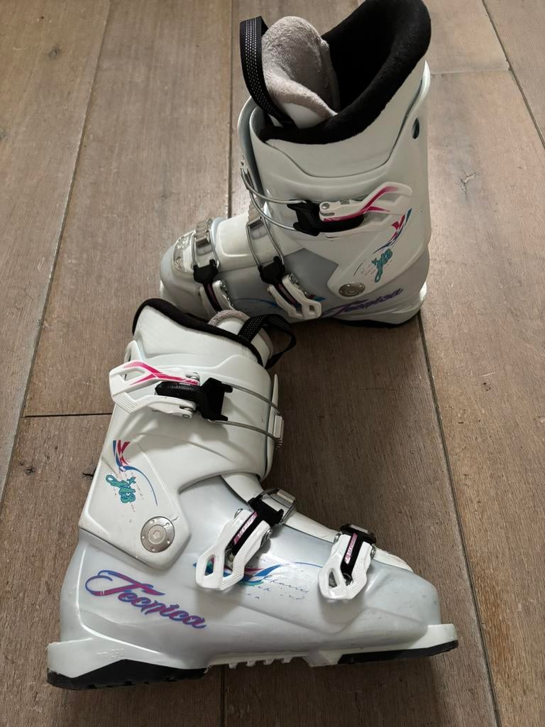 Tecnica Skischoen maat 24,5-25, Overige merken, 160 tot 180 cm, Schoenen, Ophalen of Verzenden