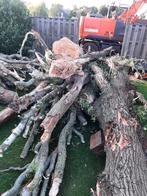 Brandhout/haardhout, Tuin en Terras, Haardhout, Ophalen, Overige houtsoorten