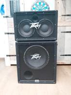 Peavey 210 tx + 115bx BW, Muziek en Instrumenten, Versterkers | Bas en Gitaar, Ophalen, Zo goed als nieuw, 100 watt of meer
